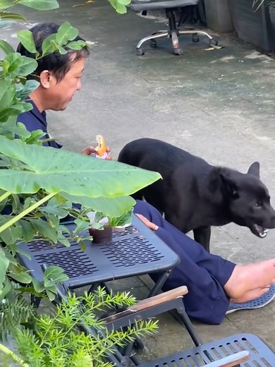 22K views · 180 reactions | Xíu nữa là chú còn ổ bánh mì không luôn á. Em nhân viên này tốn chả lụa quá 沈 Video: khoinghiepsuadaunanh | Sài Gòn Bệt | Facebook