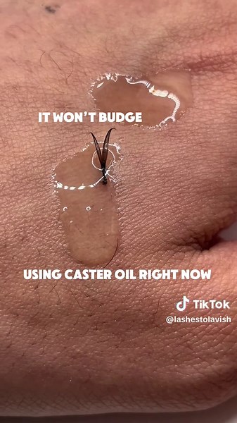 Amazing Lash Glue Review for Extensions and False Lashes