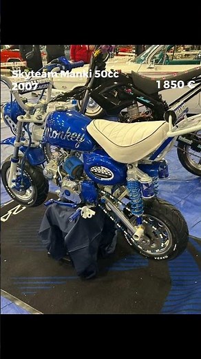 🔥 Skyteam Manki 50cc 2007