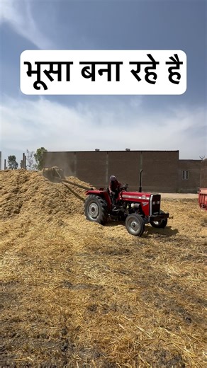 DAY -3 of making straw for dairy farm । डेरी फार्म के लिए भूसा बना रहे हैं । Veer Dairy Farm