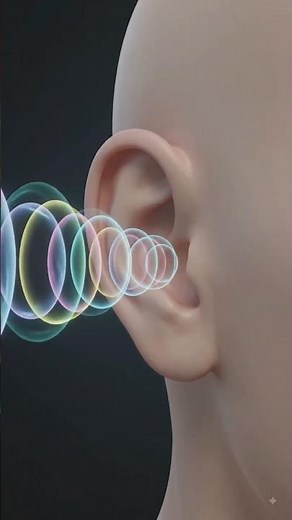 How We Hear Sound: Ear Anatomy & the Journey of Sound to the Brain | 3D Animation#science #education