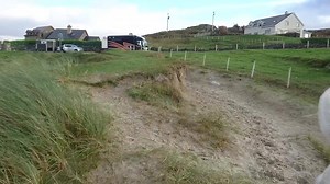 14K views · 117 reactions | Through different #Connemara #Pony ears this time. Punch, the brave 4 year old, enjoying the scenery near Renvyle House Hotel | Connemara Equestrian Escapes | Facebook