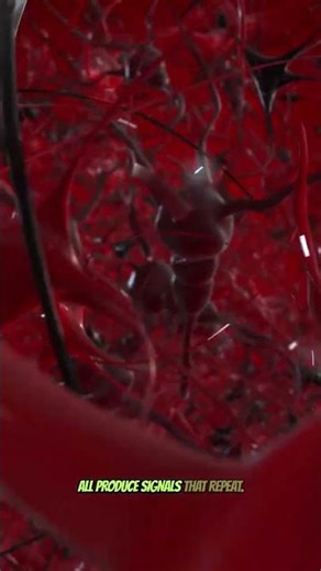 Biomedical Engineering Applications of Phasors | V2