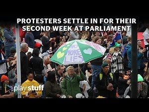 Wellington protests: Anti-mandate protesters begin their second week at parliament | Stuff.co.nz