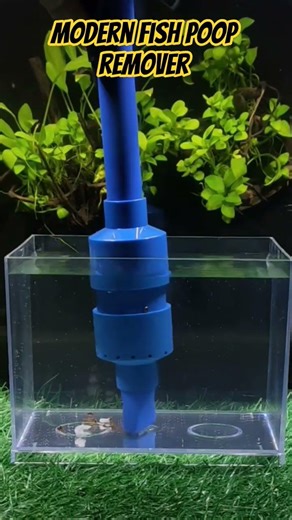 DIY modern fish poop remover easy to use