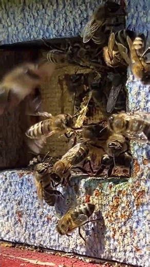 Da werden noch Altlasten ausgeschafft💪💪💪