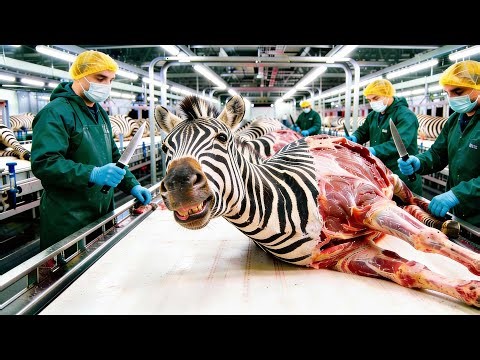 The Complete Process of Zebra Leather | Inside a Million-Dollar Factory