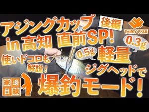 【家邊目線#20】アジングカップ in 高知 直前SP(後編) 軽量ジグヘッドで爆釣モード！【34のアジング実釣動画】