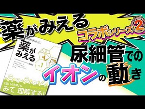 【利尿薬の近道はこれ！】作用機序の前に尿細管でのイオンの流れを知ろう！『薬がみえる』で分かり易すぎる図解！