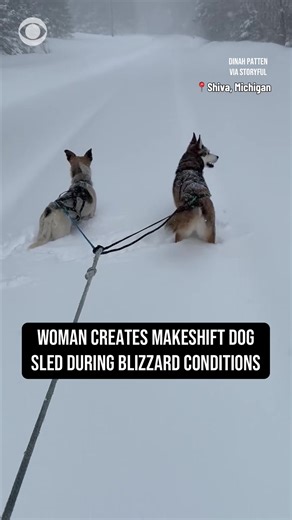 A Michigan woman took advantage of the blizzard conditions in the state’s Upper Peninsula on Sunday, transforming her skis into a makeshift dog sled. #michigan #snow #dogs
