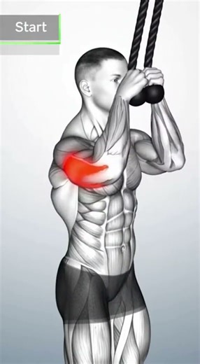 Mountain Climbers Hurting Your Back? ⚠ Fix This!