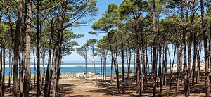 Camping Landes, location mobil home Landes Yelloh Village