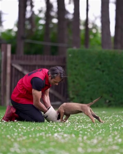 13K views · 674 reactions | Create a VISION and with the right method...