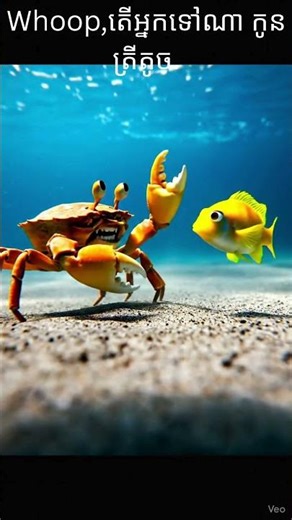 The Little Fish Finds a Friend