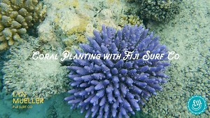 80K views · 950 reactions | Did you know that you can volunteer to...