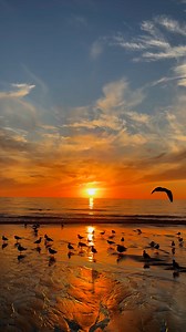 📍Moonlight Beach, Encinitas, California 🌅 | The Best of San Diego