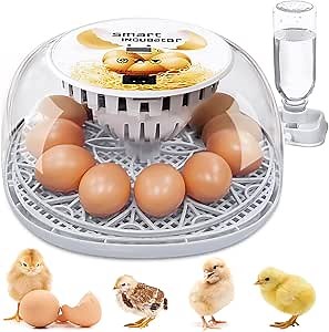 Egg Incubator 12-24 Eggs, Automatic Egg Turning, Humidity & Temperature Control, White, ABS Material, No Included Components