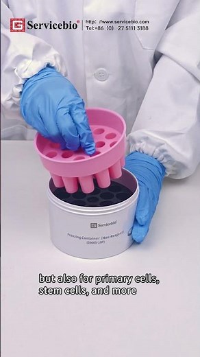 Uncovering the Principles of Cell Freezing in the Freezing Container G9005-18P