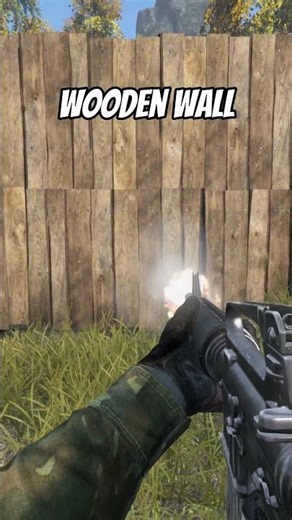 How much AMMO with the M16-A2 in Dayz