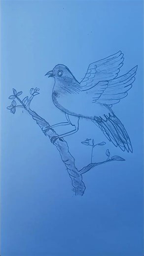 drawing bird 🕊️#viral