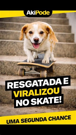 Uma cachorra resgatada de maus-tratos virou atleta de skate em São Paulo.