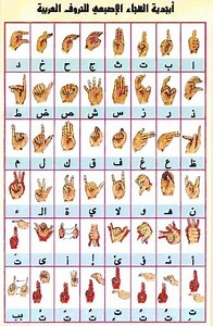 لغة الاشارة