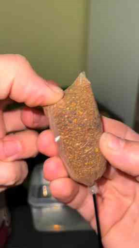 Top 10 Carp Fishing Techniques – Improve Your Skills Today