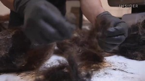 3.5K views · 64 reactions | Human Hair Mats Clean Oil Spills. Why Don't Big Companies use them ? #lifestyle #markets #business | Business Insider Africa | Facebook
