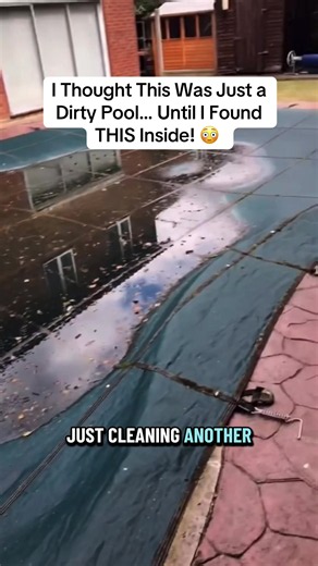 I Thought This Was Just a Dirty Pool… Until I Found THIS Inside! 😳 #work #contract #uk #karcher #usa