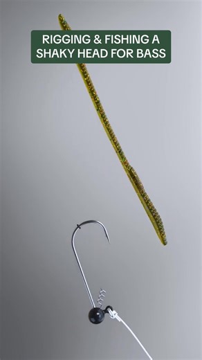 How to catch smallmouth bass on a Shaky Head rig. Featuring Stacy C. On the Hudson River, NY. FALL #fishing #bassfishing #fishingtips #bigbitebaits #getfolksfishing | Lunkerville