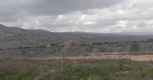 Israel's agriculture sector suffers great losses as conflict displaces farmers, hinders production