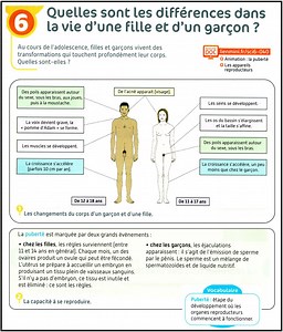 B. Le cycle de vie d’un animal sans stade larvaire: l’exemple de l’être humain.
