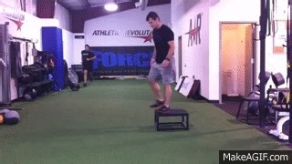 Max Effort Plyometrics: Depth Jumps on Make a GIF