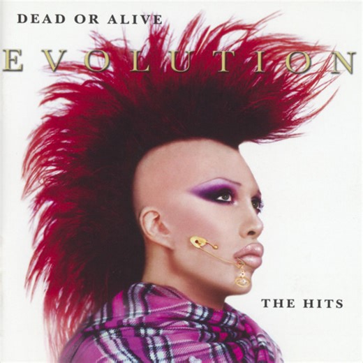 Dead Or Alive - Evolution - The Hits