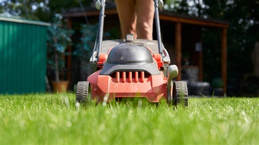 10 yard maintenance mistakes that can damage your lawn over time