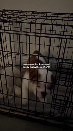 Sarah Elisabeth on TikTok