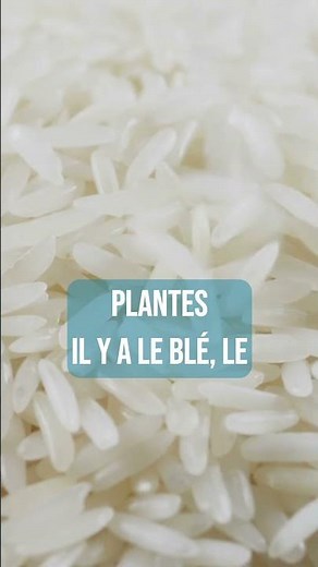 C'est quoi une céréale ?