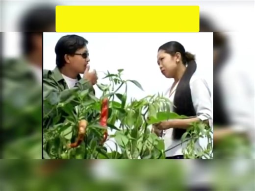 Mungdan Hpe Tsawra: A Unique Cultural Insight