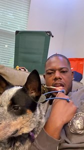 How to stop your dog from choking on a ball #puppylove #dogoftheday #puppiesofinstagram #puppies #doglover #ilovemydog #petstagram #pets #instapuppy #pup #petsofinstagram #adorable #dogs_of_instagram #animal #animals #instapet #doggy #dogsofig #frenchbulldog #weeklyfluff #instagramdogs #bulldog #bestwoof #lovedogs #멍스타그램 #犬 #puppygram #puppyoftheday #frenchie #chihuahua | Kaizen Canine