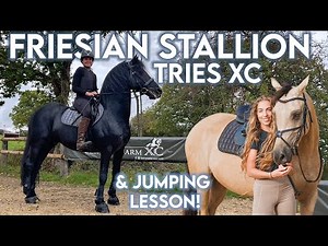 FRIESIAN STALLION TRIES XC| & our first jump lesson!