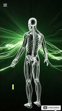 What Excess Sugar Really Does to Your Body (3D Animation) #healthexplained #medicalanimation