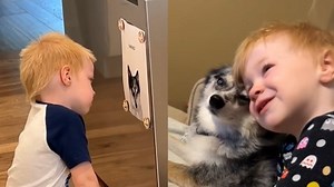 41K views · 1K reactions | A toddler shows a heart wrenching display of grief as he stares at a picture of his beloved dog. | Detroit Free Press | Facebook