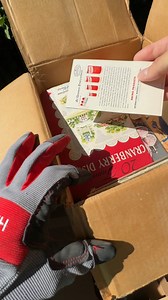 2.5K views · 18 reactions | Mysterious box rescued from the dumpster!  These were almost lost forever! | Steve J | Facebook