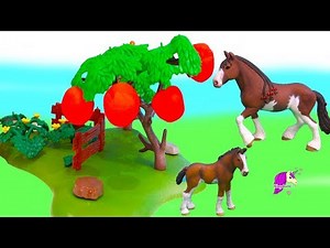 Don't Eat The Apples ! Horses Draft Horses Life Story