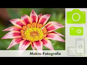 FOTOGRAFIEREN LERNEN | Makrofotografie