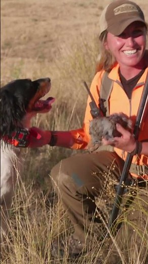 GUN DOG's "Wild Upland" Episode 1 Idaho Sharp-tailed Grouse and Hungarian Partridge