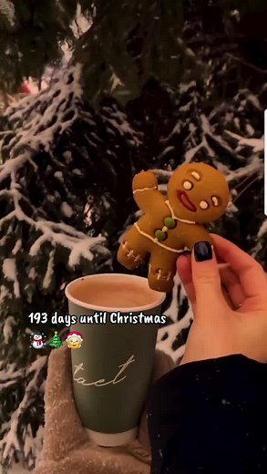 193 Days Until Christmas 2026 — Christmas Countdown Reminder