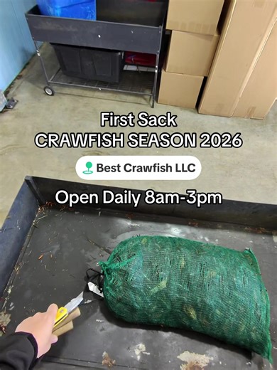 Fresh Live Crawfish Available for Pickup Daily