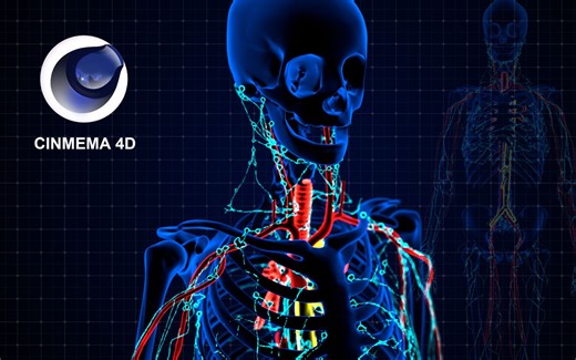 C4D制作人体骨骼X光科技感材质两种方法--默认渲染器+OC渲染器