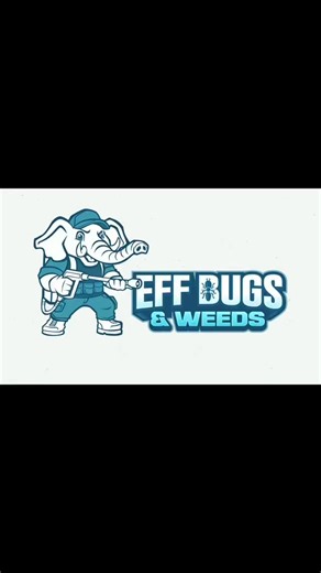 From concept to creation. From execution to evolution. 2025 forged the foundation. 2026 builds the empire. 😎🤙🏽 | Kc Plum